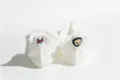 Cute embroidered puppy cotton boat socks for women, breathable low cut casual short socks. - One Size / White