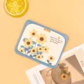 Cute cartoon sunflower student ID card holder protective sleeve for campus meal card pass. - Horizontal-Green Frame Sunflower (No Accessories)