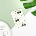 Ins style green cherry pattern card holder cute ID card protective sleeve for student bus card - English Black Cherry / No Accessories