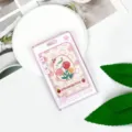 Portacarte rigido rosa carino fumetto stella, custodia protettiva trasparente per tessera studente. - Fumetto Stella - Griglia Rosa Floreale / Porta Carte Singolo (Senza Accessori) / Rosa