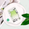 Cute green gradient panda cartoon id card holder student school bus card protective case - Panda Frame / No Accessories