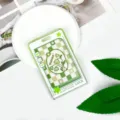 Porta carte d'identità a quadri verdi con fiori custodia protettiva trasparente studenti - Fumetto Stella - Griglia Verde Floreale / Porta Carte Singolo (Senza Accessori) / Verde