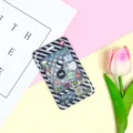 Cute claw machine animal shaking card sleeve for student ID and bus pass protection case. - Animal Shaking (No Accessories) / Black Grid Console