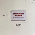 Patch étiquette de vêtement en tissu imprimé fraise pour couture décoration bricolage - Fraise