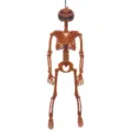 Vista dettagliata dello scheletro di Halloween arancione da 40 cm con testa di zucca - New size 40 pumpkin skeleton / 标准橘橙色