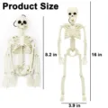 Scheletro regolabile in plastica da 16 pollici di Halloween con le dimensioni - Nuovo Scheletro 40cm / Bianco standard