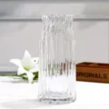 Modern minimalist transparent glass vase for hydroponic plants and flower arrangements. - Clear