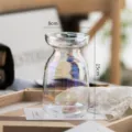 Nordic creative minimalist transparent iridescent glass flower vase for home decor - Rainbow