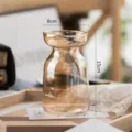 Nordic minimalist transparent glass vase, amber flower arrangement bottle for home decor living room. - Amber