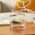 Transparente Glasvase mit weitem Hals moderne Tisch Hydrokultur Dekoration für Zuhause - Transparentes Modell mit flacher Öffnung / Transparent