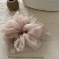 Zartes rosa Netzdraht-Spitzen-Haargummi im Detail, elegantes Haarband für süßen Alltags-Look. - Rosa
