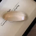 Close-up detail of smooth champagne acetate hair barrette, elegant minimalist oval side clip accessory. - Milk Tea
