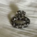 Detailed view of the elegant black and white acetate hair claw clip, exquisite texture. - Amber