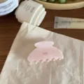 Chic pink acetate hair claw clip detail, elegant French style medium hair accessory for women. - M / Pink