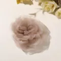 Fiore di rosa in chiffon trasparente accessorio capelli spilla decorazione elegante chic. - Marrone