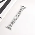 Primo piano dettaglio cinturino orologio in catena di acciaio inossidabile, elegante. - 22mm / Argento