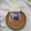 5-pack purple minimalist hair clips sweet cute bangs hairpins fashion daily hair accessories - 5 Pieces/Pack / Purple