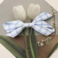 Close-up detail of blue white plaid fabric bow accessory, showing neat shape and texture. - Large Single Layer / Blue