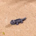 Figurilla de lagarto en miniatura de resina realista para micropaisaje y decoracion DIY. - Gris Oscuro (Lomo Negro)