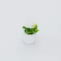 Dollhouse miniature artificial plant pot white flower micro landscape succulent model style - Single Piece White
