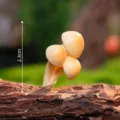 Mini resin simulation mushroom figurine for moss micro landscape DIY garden decor yellow - No. 7 Golden Yellow