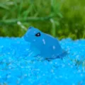 Blaue Harz Frosch Figur Mikro Landschaft Ornament Mini Garten Dekor Spielzeug Zubehör - Stil G