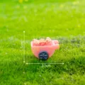 Miniature pink wheelbarrow resin ornament for moss micro landscape DIY garden decor 2.1cm - No. 12 Wheelbarrow