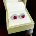 Elegant round red gemstone halo stud earrings with sparkling crystal accents for women daily wear. - Silver Red Round Zirconia Stud Earrings (D217)