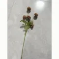 Branche de fleur en soie chrysanthème pompon 5 têtes artificiel, pissenlit couleur automne. - Chrysanthème pompon à 5 têtes - Café d'automne, 1 tige