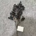 Black artificial baby's breath flower stem, 16 heads floral decoration for home decor. - 16-Head Silk Baby's Breath, 1 Stem - Black