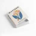 Matisse decorative book storage box, modern minimalist art style openable storage box variant. - Magnetic Storage Model - Openable / BH-2A21