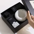 Confezione regalo con pietra di diffusione di oli essenziali per aromaterapia e decorazione. - Set di piante in pietra di cristallo bianco (olio essenziale non incluso)