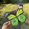 Decorazione murale a farfalla in metallo, scultura in ferro colorato per la casa. - Verde