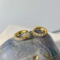 Gold stainless steel zircon hoop earrings, stylish minimalist small ear buckle jewelry. - 2.0*8mm / Gold