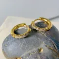 Gold stainless steel hoop earrings with sparkling cubic zirconia stones for women daily wear. - 2.5*10mm / Gold