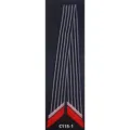 Sciarpa twilly a righe stretta e lunga da donna, elegante accessorio per il collo con bordo. - Strisce chic PDXJ, nero