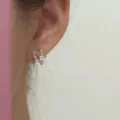 Exquisite s925 silver zircon star ear studs, sparkling micro-set crystal daily fine jewelry. - Zirconia Star Stud Earrings