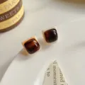 Chic brown square resin earrings, minimalist aesthetic jewelry for women daily wear style. - Color Block Sugar Cube Stud Earrings