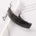 Korean style curved tortoiseshell spring hair clip for women, elegant chic top barrette. - Dark Tortoiseshell Plaid Style (30#弹簧夹)