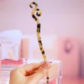 Acetate hair stick detail showcasing the elegant tortoiseshell pattern and unique curved shape. - Aries / 17.6cm / 4# Beige
