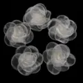 Weisse transparente Mesh Kamelien Blumen fuer DIY Haarschmuck und Bastelarbeiten - Blütendurchmesser 4,5cm / Beige