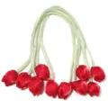 Gros plan détaillé de boutons de tulipe en satin rouge avec strass sur tiges vertes. - 5 Pièces / Strass Rouge Vin