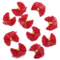 Noeuds en ruban de dentelle rouge accessoires de bricolage mignons noeuds pour vêtements - Longueur 4.5cm Largeur 4cm / Rouge