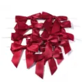 Gedetailleerd overzicht van wijnrode satijnen strikken met wurgbinders voor cadeaudozen en decoratie. - Maat 9X9cm Lintbreedte 2.5cm 16g/Pak / Bordeauxrood