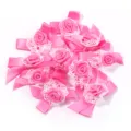 Pink ribbon rose mesh bows lace trim DIY handmade accessories for clothing hats bags - 10 Pieces Pack / Light Rose