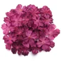 Artificial fabric flower petals for DIY crafts, handmade hair clips, and clothing accessories. - 60-piece Set / Fuschia