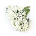 Künstliche mattierte weiße Beeren-Blütenstempel für DIY-Blumenhandwerk, Hochzeitsdekor. - Beerenstaubblatt Beige