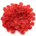 Red four-petal fabric flower patches, ideal for DIY handmade crafts, hair clips and apparel. - 60-piece Set / Red