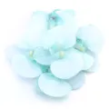 Artificial blue phalaenopsis orchid flowers for home decor and DIY hair accessories. - 5 Pieces/Pack (Approx 7.5x8cm) / Blue