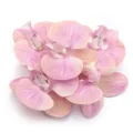 Artificial pink phalaenopsis orchid flower heads for wedding home decor and DIY hair accessories. - 5 Pieces/Pack (Approx 7.5x8cm) / Yellow Pink